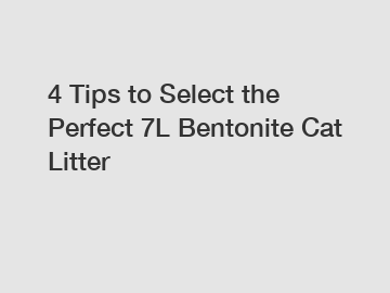 4 Tips to Select the Perfect 7L Bentonite Cat Litter