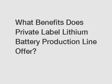 What Benefits Does Private Label Lithium Battery Production Line Offer?
