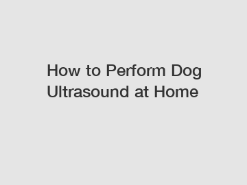 How to Perform Dog Ultrasound at Home