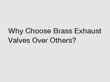 Why Choose Brass Exhaust Valves Over Others?