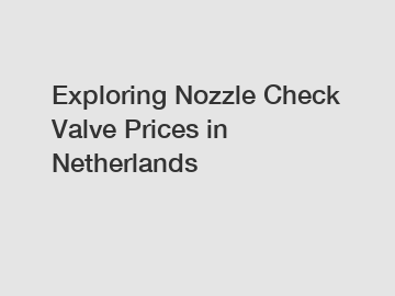 Exploring Nozzle Check Valve Prices in Netherlands