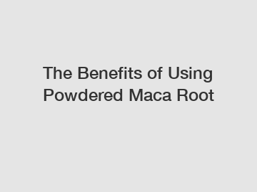 The Benefits of Using Powdered Maca Root