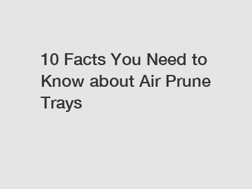 10 Facts You Need to Know about Air Prune Trays