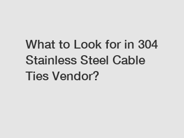 What to Look for in 304 Stainless Steel Cable Ties Vendor?