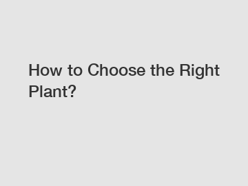 How to Choose the Right Plant?
