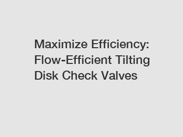 Maximize Efficiency: Flow-Efficient Tilting Disk Check Valves