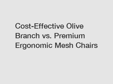 Cost-Effective Olive Branch vs. Premium Ergonomic Mesh Chairs