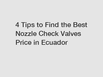 4 Tips to Find the Best Nozzle Check Valves Price in Ecuador