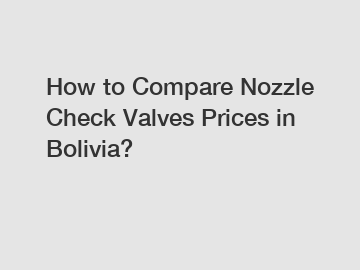 How to Compare Nozzle Check Valves Prices in Bolivia?