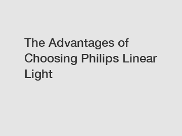 The Advantages of Choosing Philips Linear Light