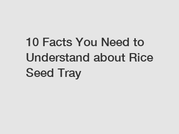 10 Facts You Need to Understand about Rice Seed Tray