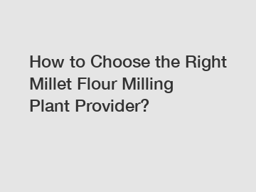 How to Choose the Right Millet Flour Milling Plant Provider?