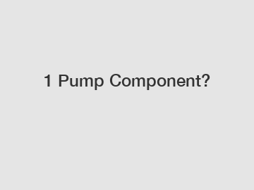 1 Pump Component?