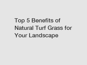 Top 5 Benefits of Natural Turf Grass for Your Landscape