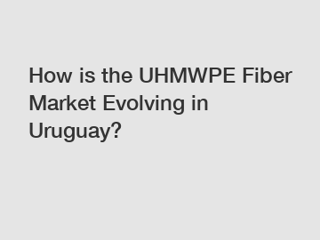 How is the UHMWPE Fiber Market Evolving in Uruguay?