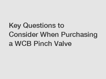 Key Questions to Consider When Purchasing a WCB Pinch Valve