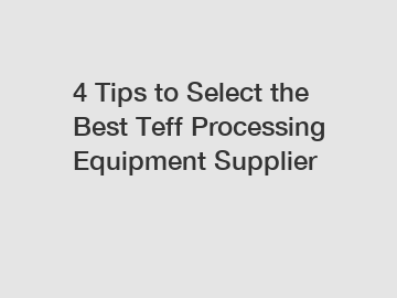 4 Tips to Select the Best Teff Processing Equipment Supplier