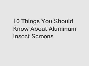 10 Things You Should Know About Aluminum Insect Screens