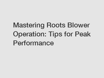 Mastering Roots Blower Operation: Tips for Peak Performance