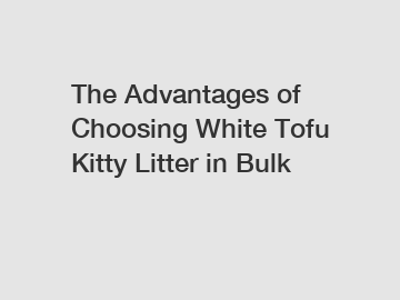 The Advantages of Choosing White Tofu Kitty Litter in Bulk