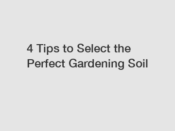 4 Tips to Select the Perfect Gardening Soil