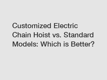 Customized Electric Chain Hoist vs. Standard Models: Which is Better?