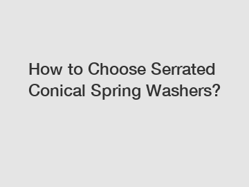 How to Choose Serrated Conical Spring Washers?