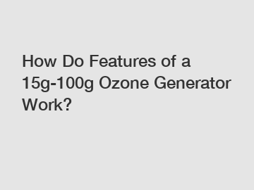 How Do Features of a 15g-100g Ozone Generator Work?