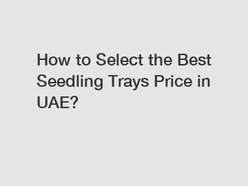How to Select the Best Seedling Trays Price in UAE?