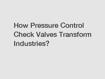 How Pressure Control Check Valves Transform Industries?