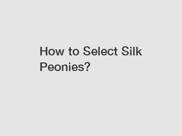 How to Select Silk Peonies? How to Select Silk Peonies?