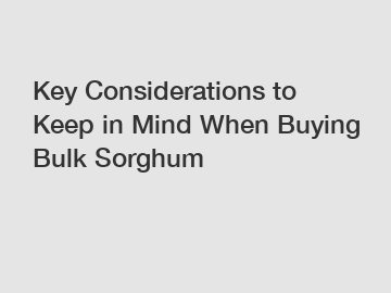 Key Considerations to Keep in Mind When Buying Bulk Sorghum