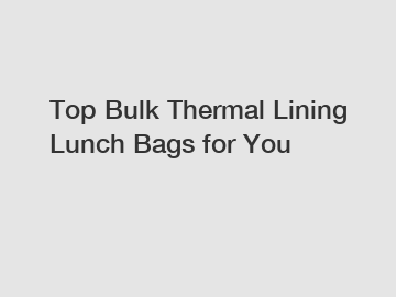 Top Bulk Thermal Lining Lunch Bags for You