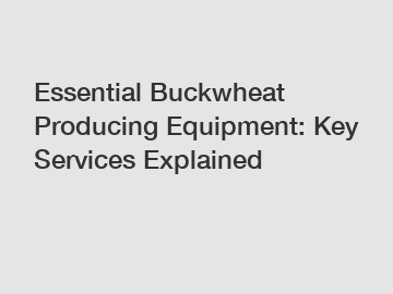 Essential Buckwheat Producing Equipment: Key Services Explained