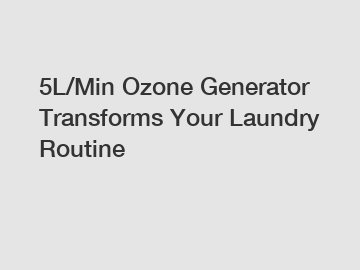 5L/Min Ozone Generator Transforms Your Laundry Routine