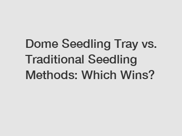 Dome Seedling Tray vs. Traditional Seedling Methods: Which Wins?
