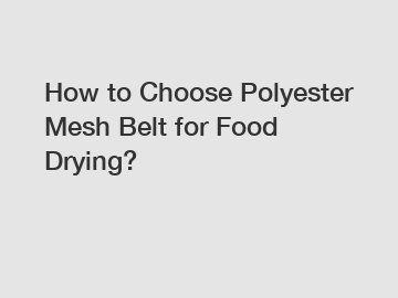 How to Choose Polyester Mesh Belt for Food Drying?