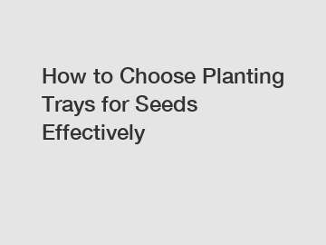 How to Choose Planting Trays for Seeds Effectively