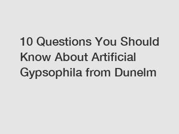 10 Questions You Should Know About Artificial Gypsophila from Dunelm