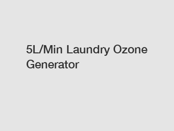 5L/Min Laundry Ozone Generator