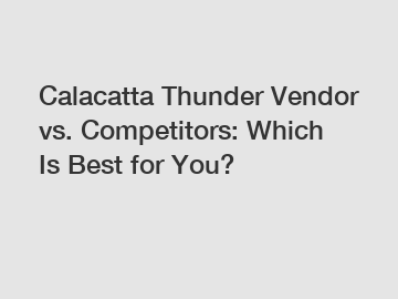 Calacatta Thunder Vendor vs. Competitors: Which Is Best for You?