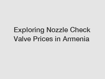 Exploring Nozzle Check Valve Prices in Armenia