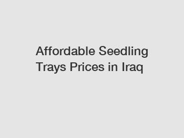 Affordable Seedling Trays Prices in Iraq