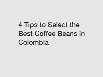 4 Tips to Select the Best Coffee Beans in Colombia