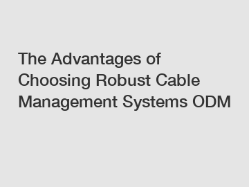 The Advantages of Choosing Robust Cable Management Systems ODM