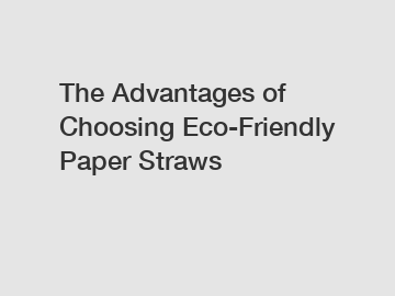 The Advantages of Choosing Eco-Friendly Paper Straws