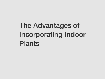 The Advantages of Incorporating Indoor Plants