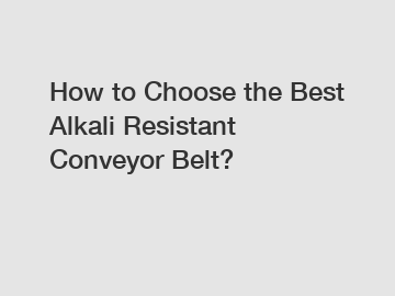 How to Choose the Best Alkali Resistant Conveyor Belt?