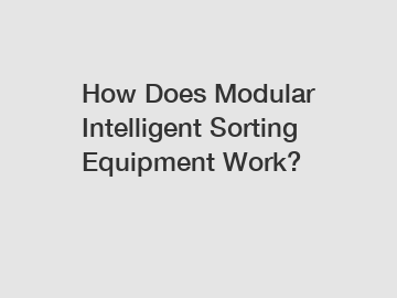 How Does Modular Intelligent Sorting Equipment Work?