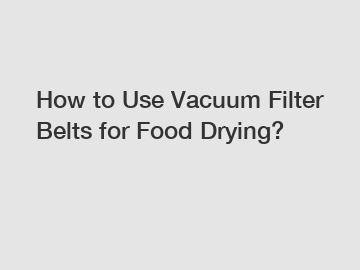 How to Use Vacuum Filter Belts for Food Drying?